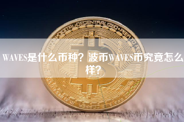 WAVES是什么币种？波币WAVES币究竟怎么样？