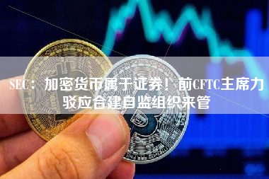 SEC：加密货币属于证券！前CFTC主席力驳应合建自监组织来管