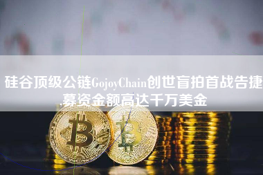 硅谷顶级公链GojoyChain创世盲拍首战告捷,募资金额高达千万美金